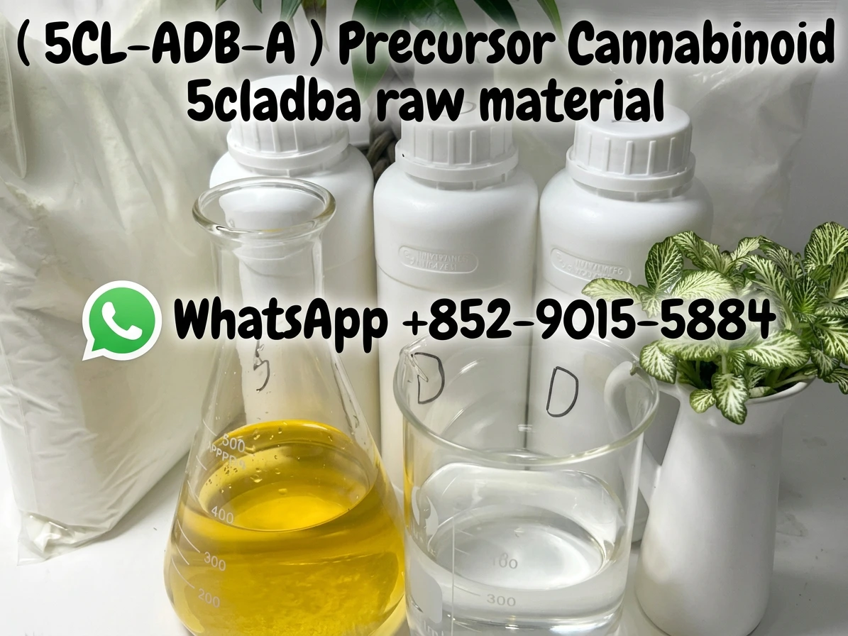 5cladba synthetic cannabinoid raw materials and 5cladba precursor Kit for research purposes