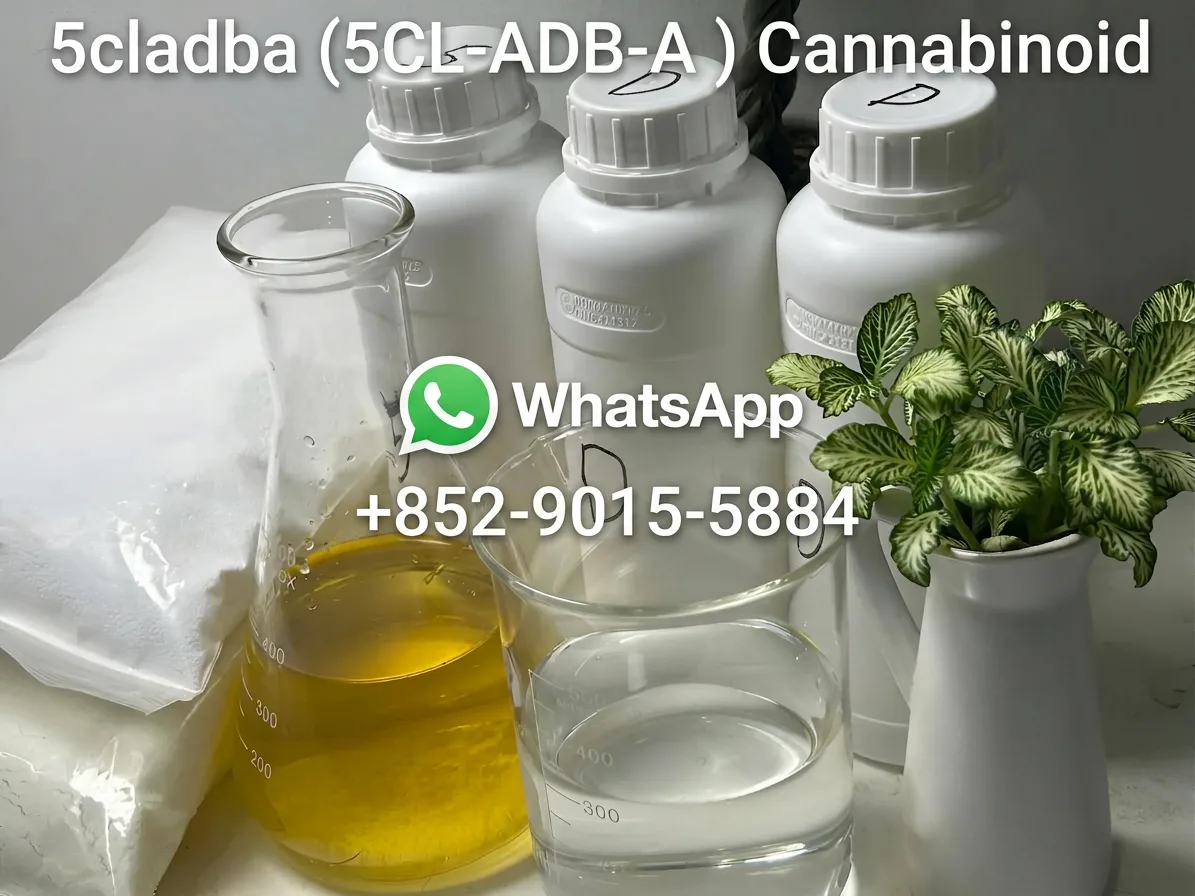 5cladba Research chemical solutions in laboratory liquids and powders